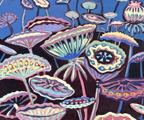 Queen Anne's Lace in Moonlight by Judy Rader