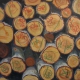Scaled Logs in Dexter, ME by Judy Rader