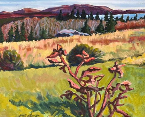 October View in Sedgwick