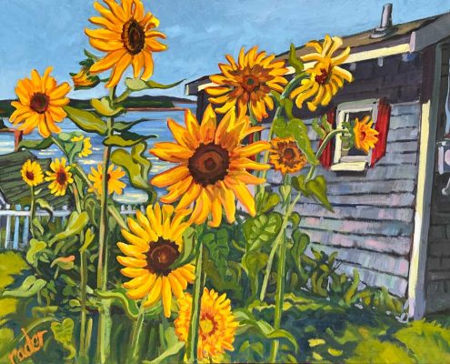 Sunflowers at LLoyd's Cabin in Stonington